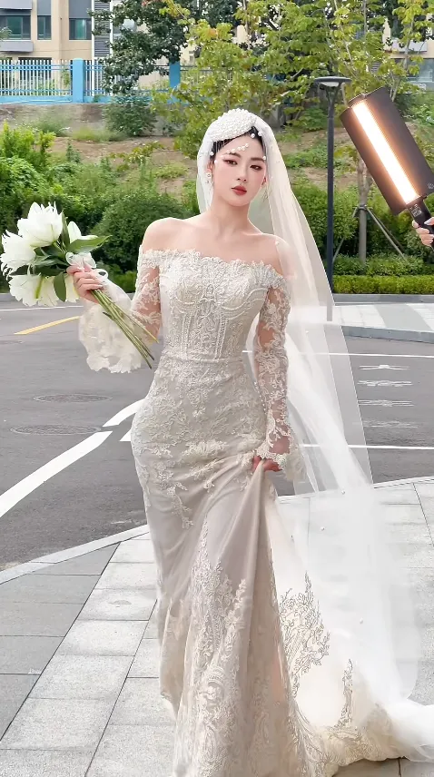 Elegant Off-the-shoulder Sheath Wedding DressesTulle Applique Ivory Bridal Gowns HZ1121