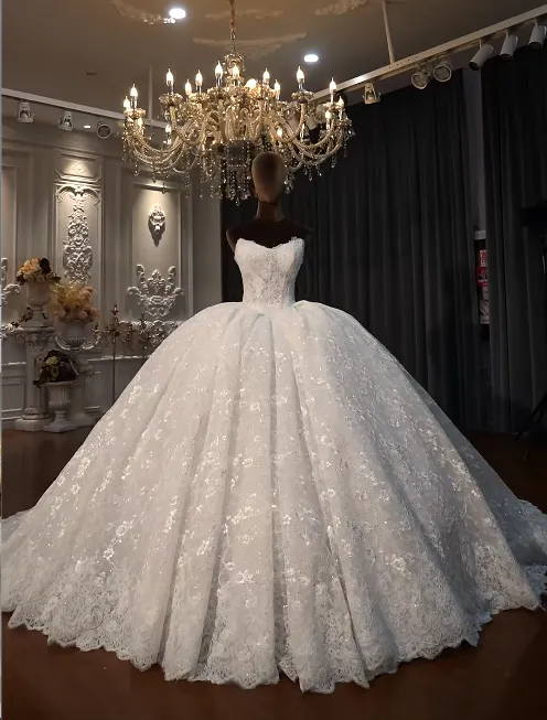 Luxury Strapless Ball Gown Applique Long Wedding Dresses Lace Ivory Bridal Dresses Sleeveless Bridal Gowns HZ1121