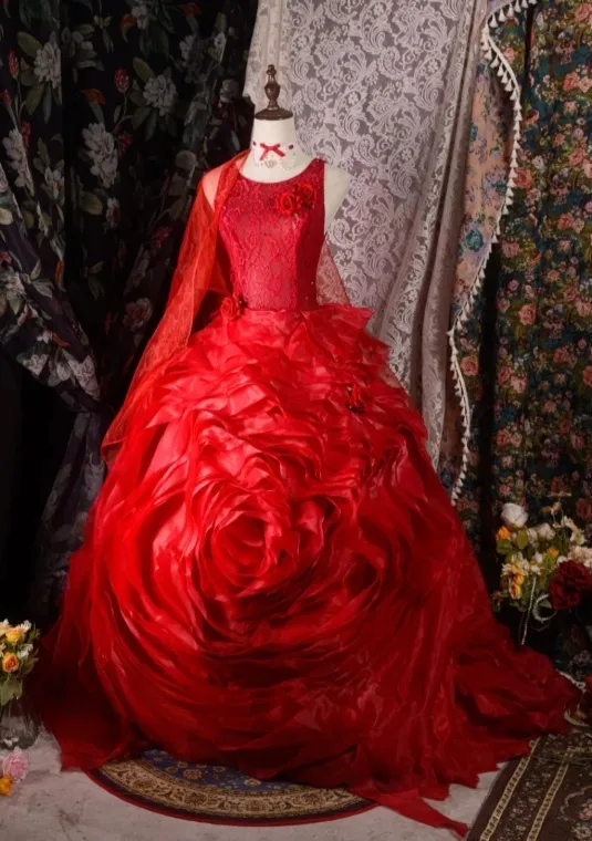 Fairy Jewel Ball Gown Tulle Long Prom Dresses Burgundy Quinceanera Dresses Sweet 16 Dress HZ1121